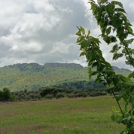 Апартаменты La Bella Vista Atba00361 *