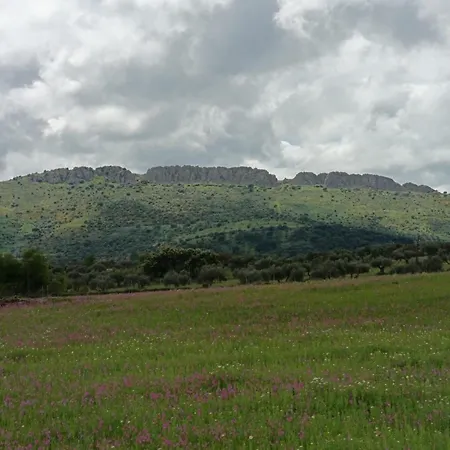 La Bella Vista Atba00361 Zafra