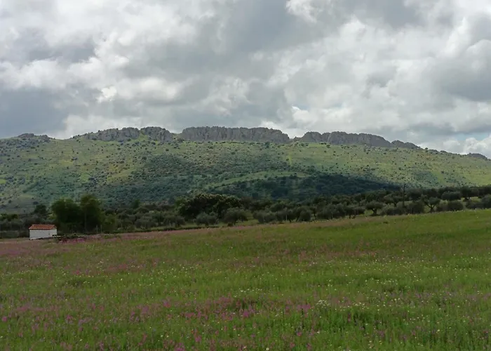 La Bella Vista Atba00361 Zafra